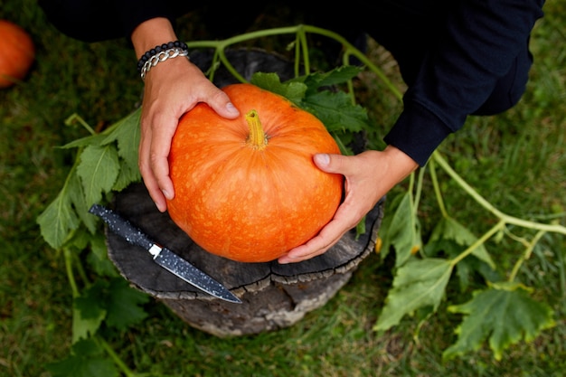 Man hands hold pumpkin before carving for Halloween, Prepares Jack o'Lantern. Decoration for party, Top view, close up, View from above, copy space