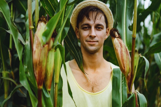 man in a hat in a corn field. man picks up corn.