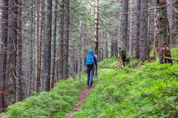 Man hiking bay the trail in the forest.Nature leisure hike outdoor