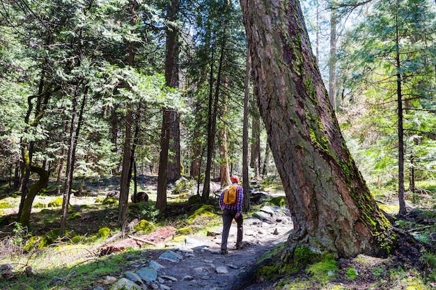 Man hiking bay the trail in the forest.