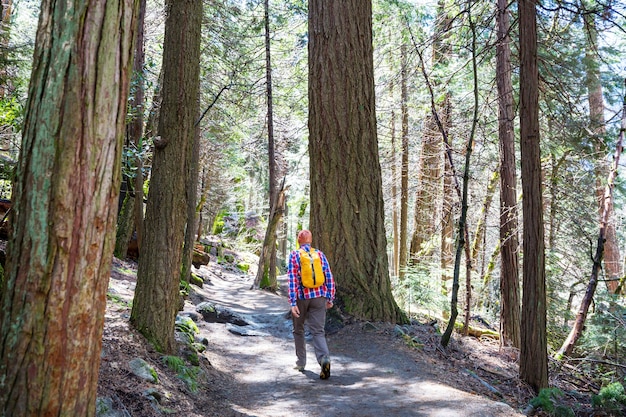 Man hiking bay the trail in the forest.