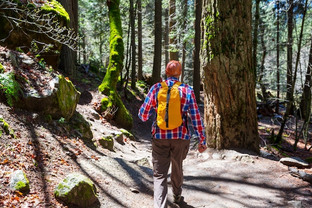 Man hiking bay the trail in the forest.