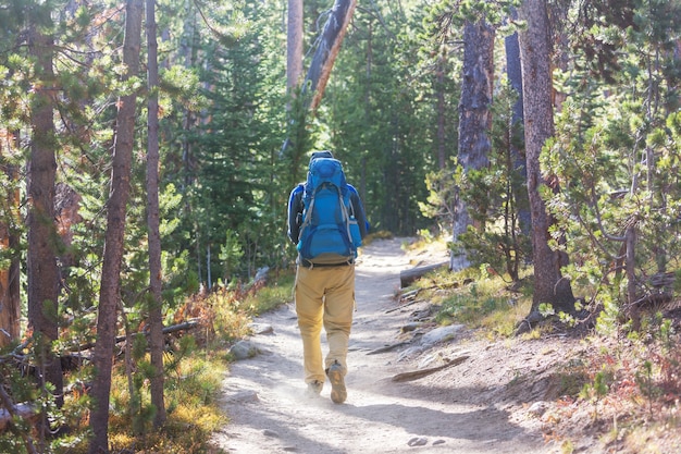 Man hiking bay the trail in the forest.