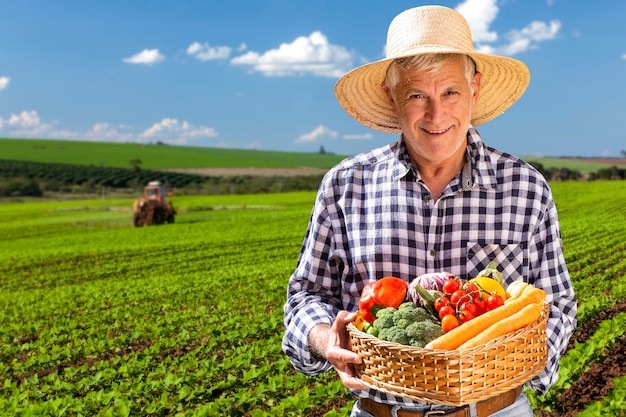 Man holding basket with healthy organic vegetables. Plantation background.