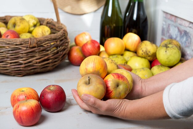 Man holding the beautiful apples of Normandy