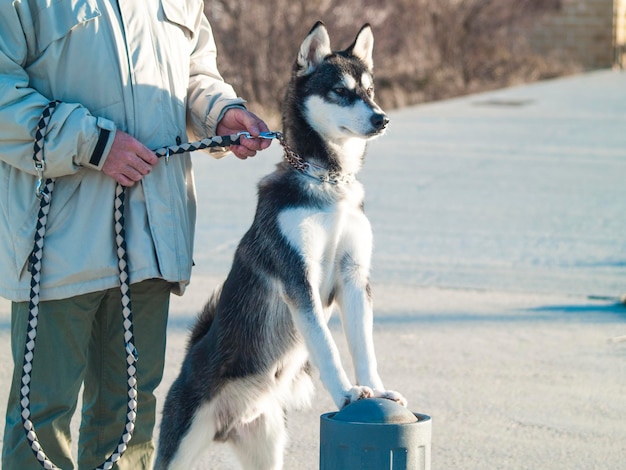 Photo man holding dog sitting outdoors