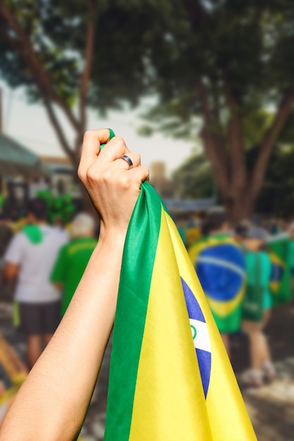 Man holding flag at street demonstration in Brazil.