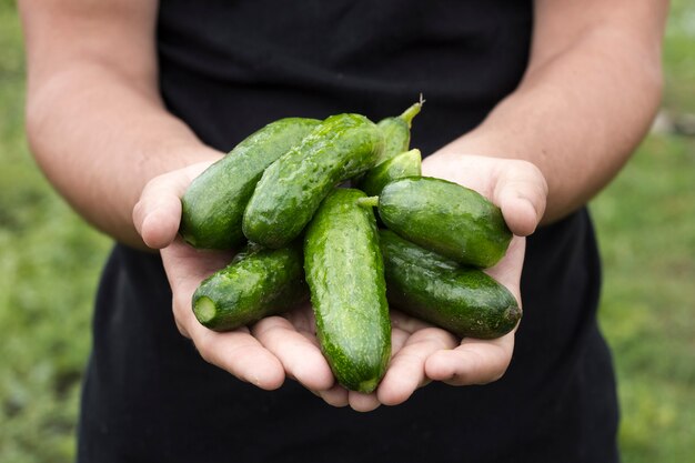 Photo man holding fresh cucumbers