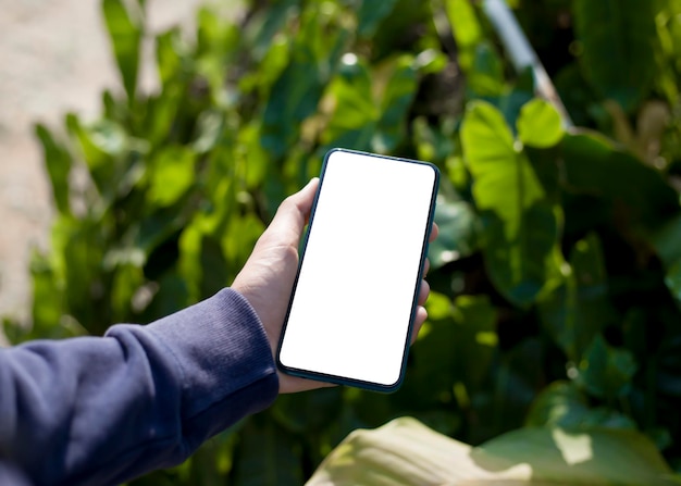 A man holding a smartphone with a white screen for creativity is a concept