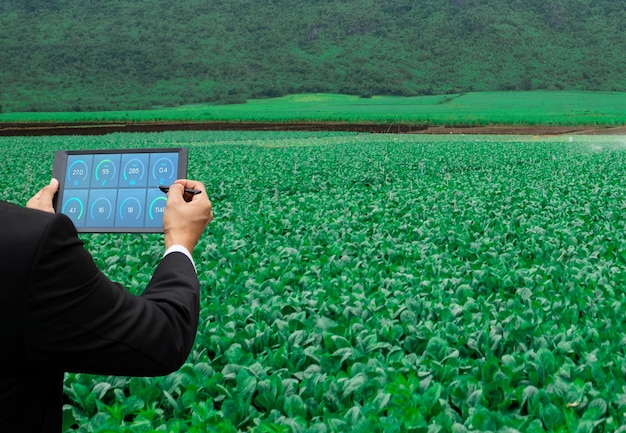 Man holding a tablet using technology to monitor vegetable growth