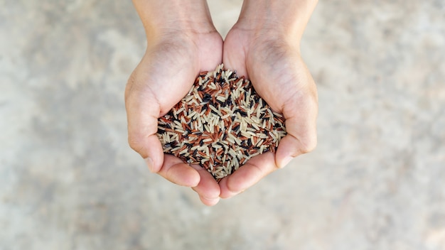 Man holding three colors (red, black, and brown) rice.