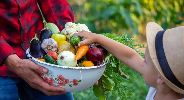 A man holds a bowl of fresh vegetables from the farm in his hands. Nature. Selective focus