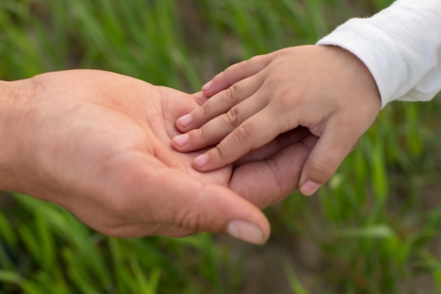 A man holds a child's hand in the grass.