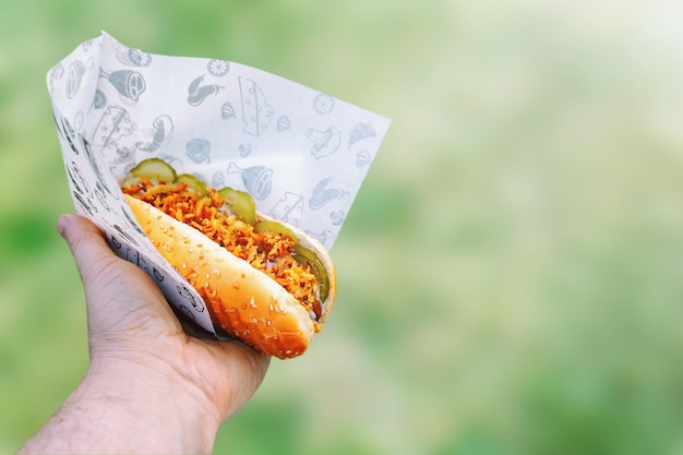 Man holds hot dog in his hand on light green background