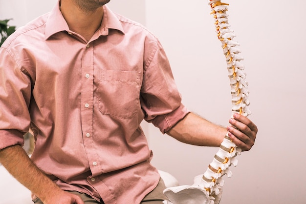 Man holds a model of a human ridge in his hands 1