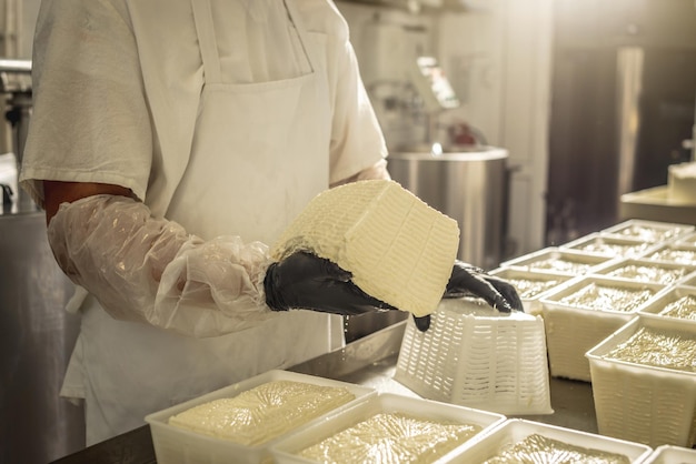 Man is a cheese maker in the process of producing different varieties of cheese in the industry Milk cheese making