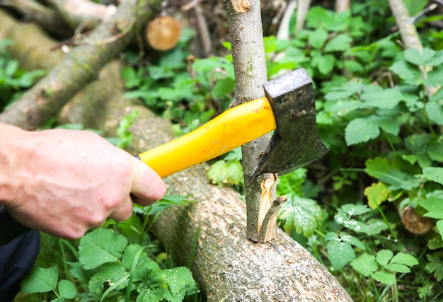 Man is cutting logs outdoors. Works with wood in the village.