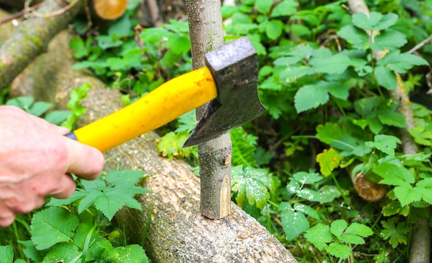 Man is cutting logs outdoors. Works with wood in the village.