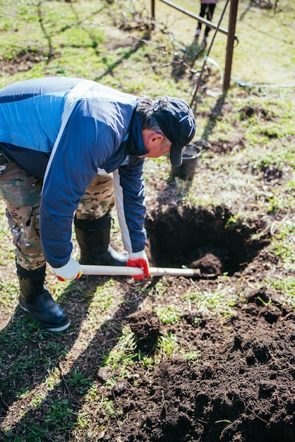 A man is planting a young tree The farmer is digging the ground with a shovel for a small seedling The concept of protection of the environment and ecology