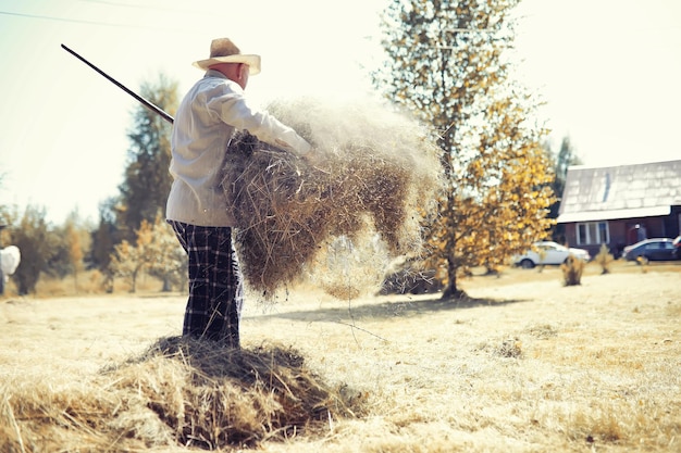 A man is raking the cut grass Autumn harvest of cereals Grandpa takes care of the lawn of a country house