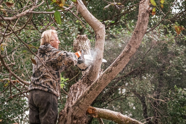 A man is sawing a tree with a chainsaw. Cutting dry branches, pruning trees