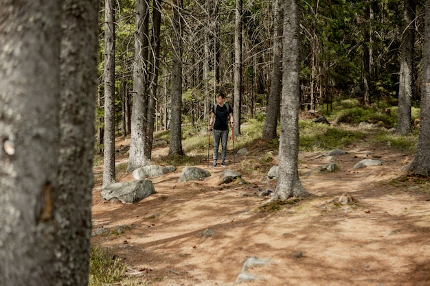 A man is a tourist in a pine forest with a backpack. A hiking trip through the forest. Pine reserve for tourist walks. A young man in a hike in the summer.