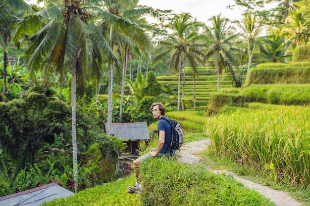 Man is a traveler in a rice paddy in Ubud, Bali, Indonesia.