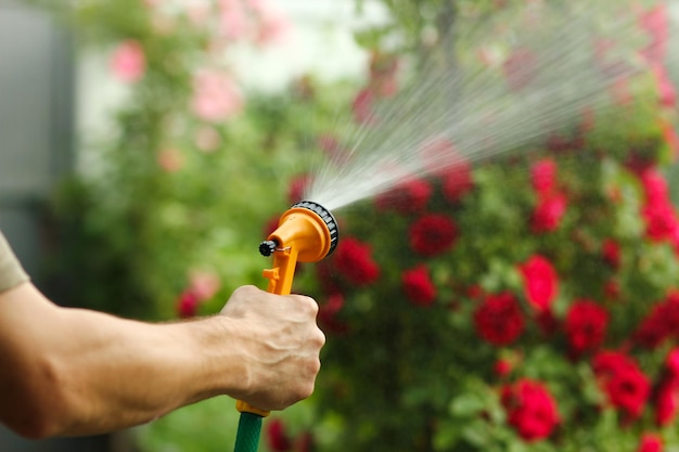 A A man is watering flowers from a hose sprinkler in a park on nature background