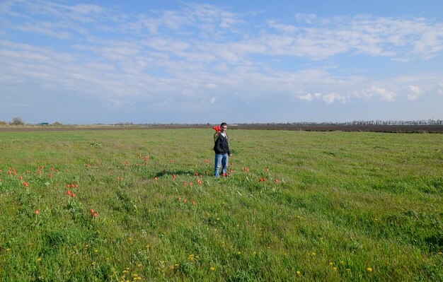 A man in a jacket on a field of tulips Glade with tulips