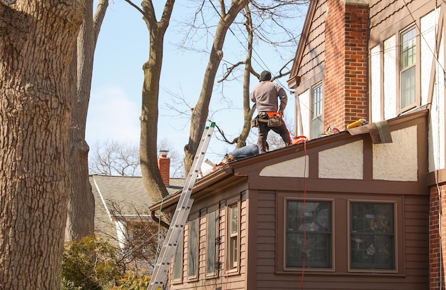 A man on a ladder on a house