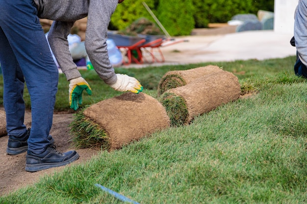 Photo man laying rolls of grass lawn landscaping concept