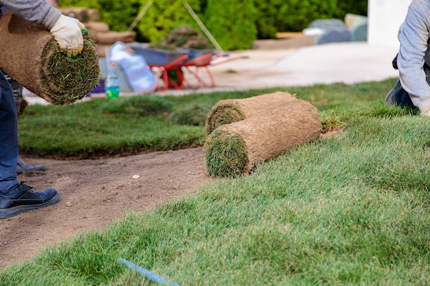 Photo man laying rolls of grass lawn landscaping concept