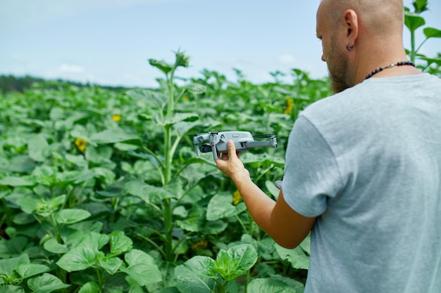 Man learning how to pilot her drone in male using piloting fly drone on field of sunflowers