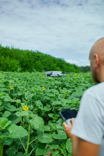 Man learning how to pilot her drone in male using piloting fly drone on field of sunflowers