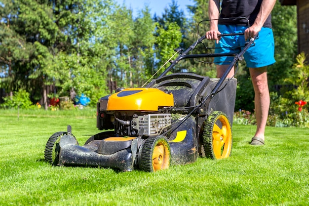 Man mows grass with lawn mower on sunny morning in garden.