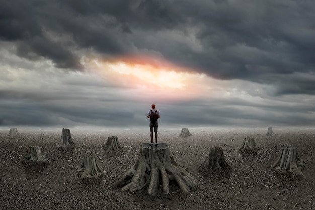 Man observes a field of felled trees