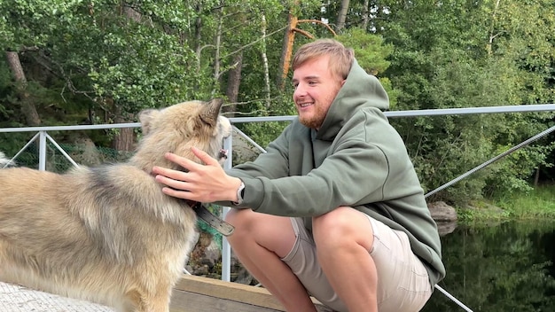 Man playing with happy a big east siberian laika dog