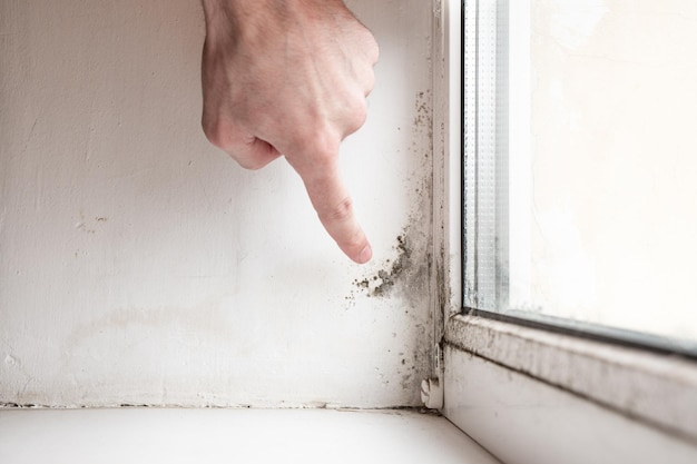 Man points his finger in the mold and fungus on the wall and white window