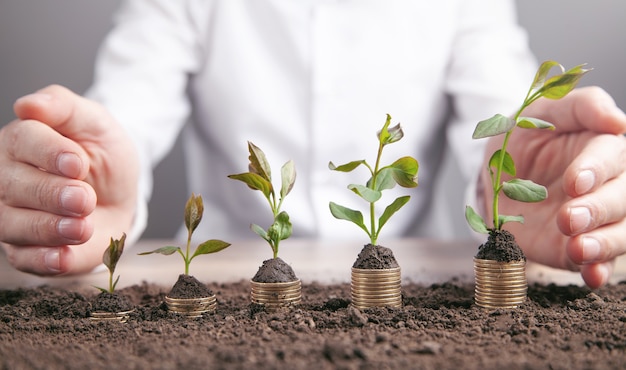 Man protect stack of coins with a plants.