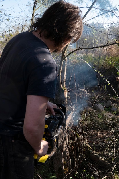 Man pruning or sawing apple tree using chainsaw farmer sowing the dry branches of apple trees