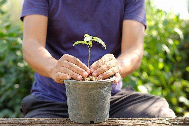 man putting little plant in a flowerpot