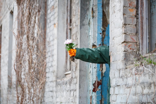 A man in a raincoat and gas mask collects a flower from a scorched poisonous earth Air pollution concept Ecological catastrophy