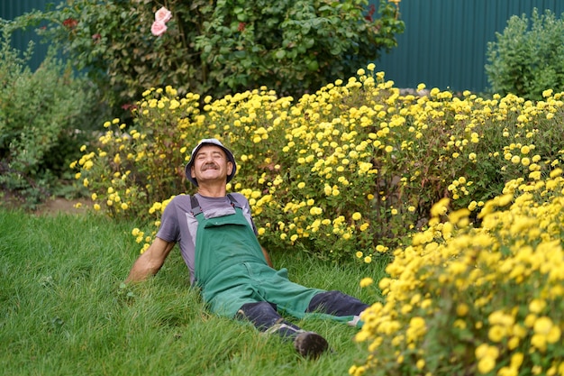 Man relaxing on the grass with bushes of yellow flowers on the background Handsome male resting on the grass and enjoying a sunny day in flowering chrisantemums