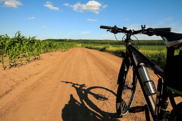 A man rides a bike and into the camera man riding a bike in a field