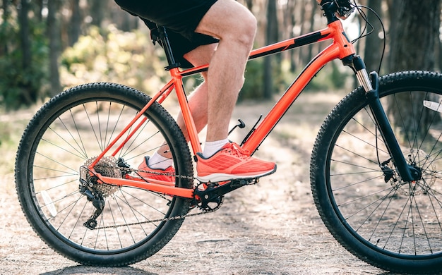 Man riding bicycle along path through sunny forest