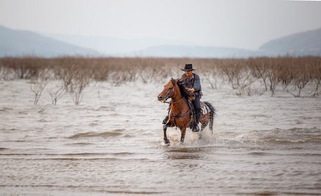 Man Riding Horse On Field During Sunset in lake