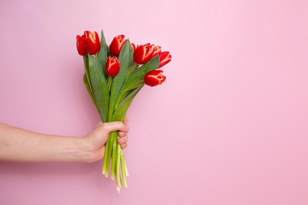 A man's hand holds a bouquet of tulips on a pink colored background. Space for text. Postcard. Holiday. Happy Women's Day. Valentine's Day. High quality photo