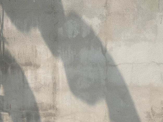 A man's shadow on a wall with a camera on it.