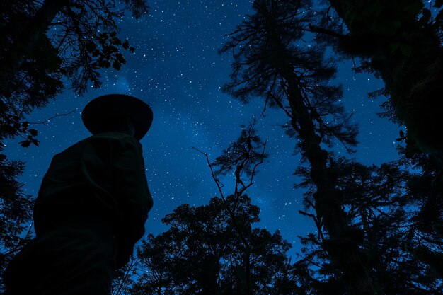 Man silhouette hat gazing upward starlit sky forest trees night illustration