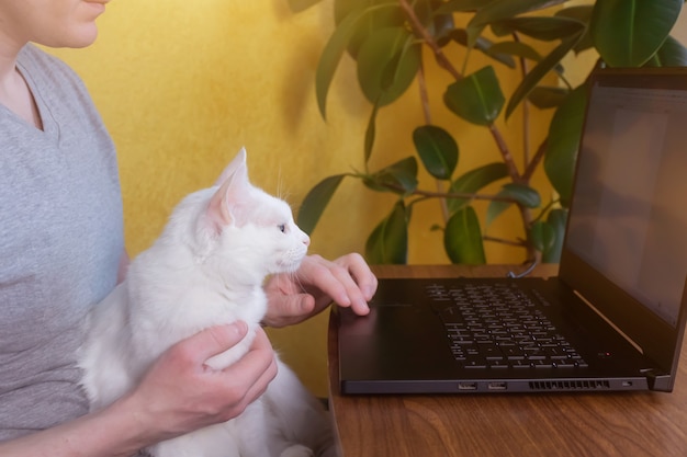 A man sits at a table with a white cat in his lap. In front of him is a table with a laptop